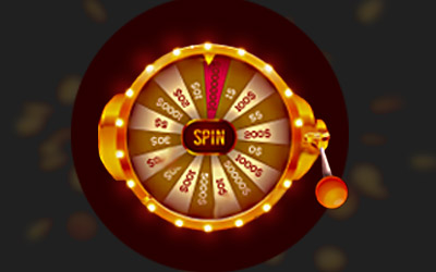 Free Spins for a Year